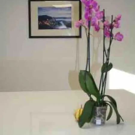 Le Maine Libre* Spa* Calme Et Authenticite 펜션 Saint-Pompont