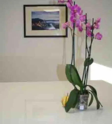 Le Maine Libre* Spa* Calme Et Authenticite בית נופש Saint-Pompont